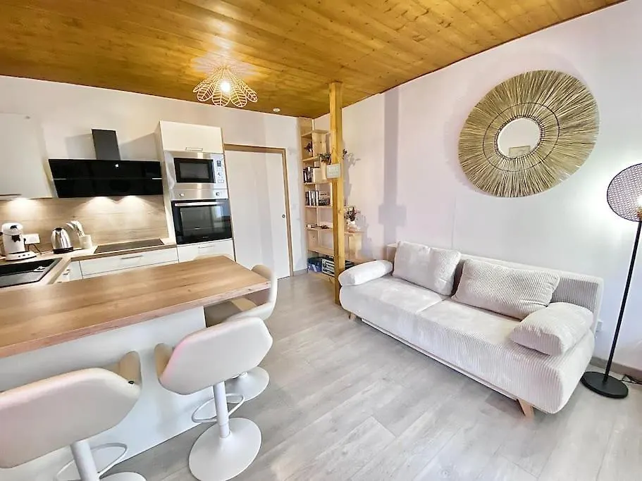 Votre Cocon A Annecy Centre Daire