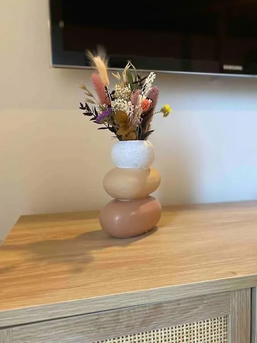 Votre Cocon A Annecy Centre Apartment France