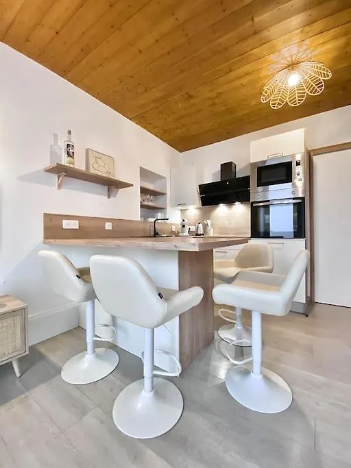 Votre Cocon A Annecy Centre Apartment