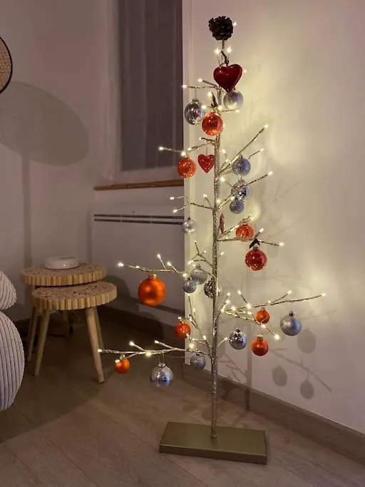 Votre Cocon A Annecy Centre Apartment